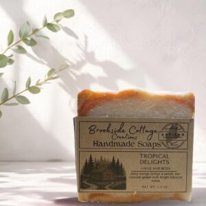 Tropiocal Delights - Handmade Cold Process soap bar, mango & hibiscus, Made in Maine